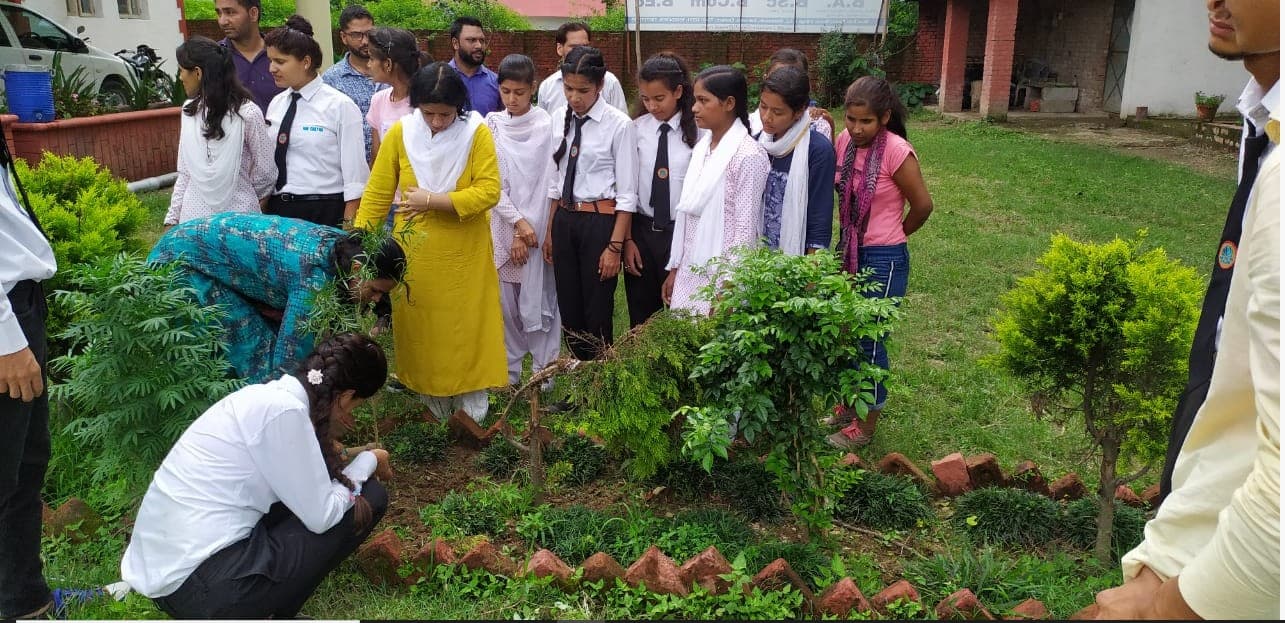 Nav Chetna College Dehradun Harela festival photo 3